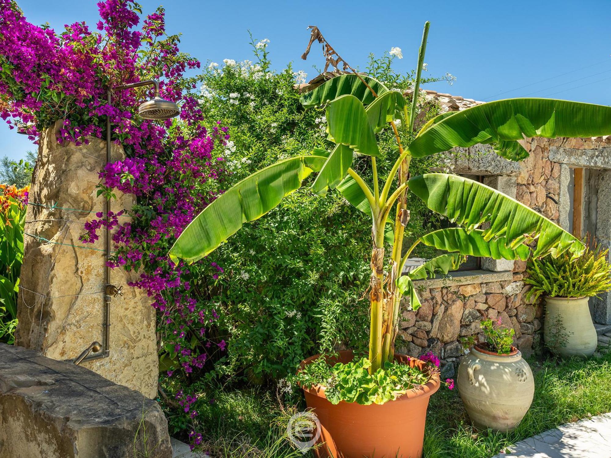 Tanca De Mar Maracalagonis