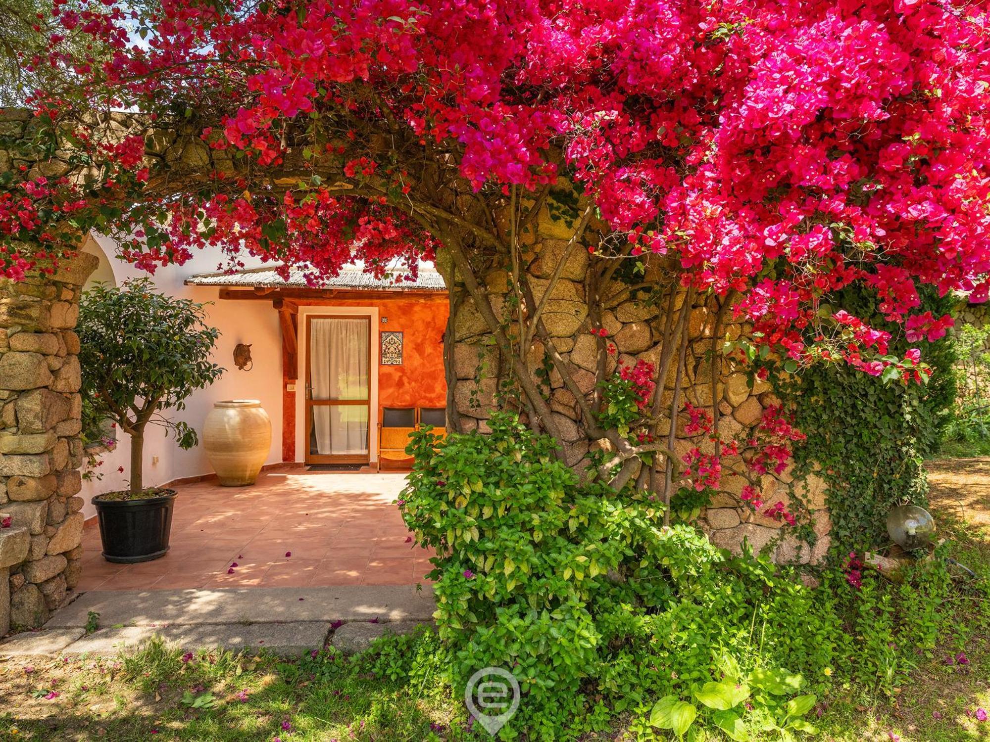 Tanca De Mar Apartment
